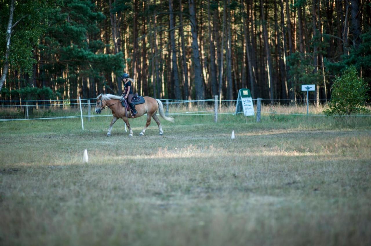 Traumhaff Denkmalgeschuetzter Amalienhof Sauna, Offener Kamin, Hund Ahlbeck  Dış mekan fotoğraf